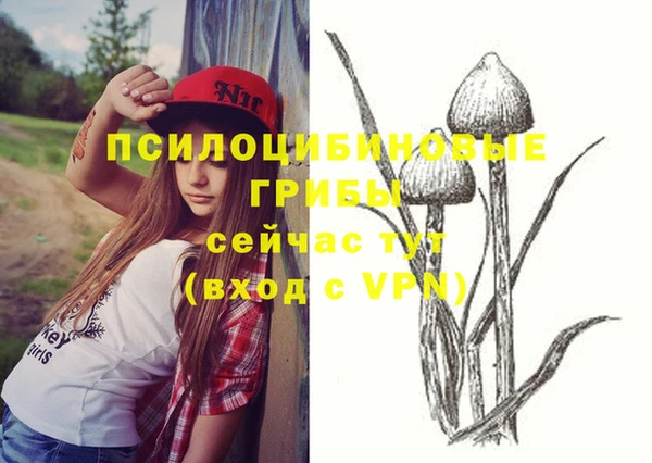 бошки Тихорецк